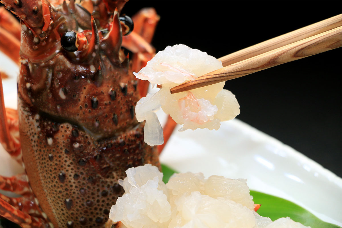 伊勢えびのお造り